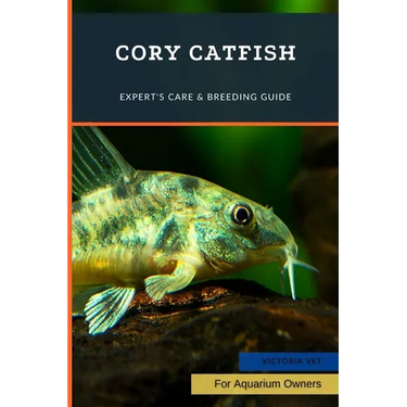 Cory Catfish: Expert's Care & Breeding Guide