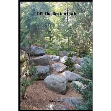 Off The Beaten Path: 4 year Blood Glucose Tracker