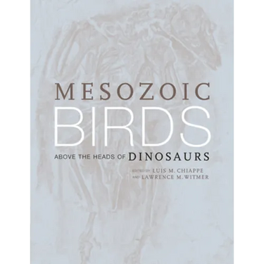 Mesozoic Birds: Above the Heads of Dinosaurs