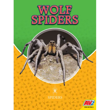Wolf Spiders