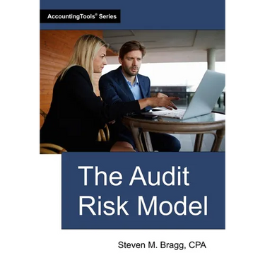 The Audit Risk Model