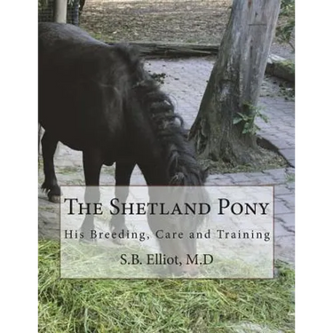 The Shetland Pony: His Breeding, Care and Training