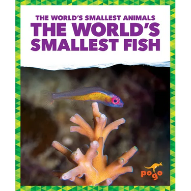 The World's Smallest Fish