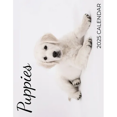 Puppies 2025 Calendar: 2025 Calendar