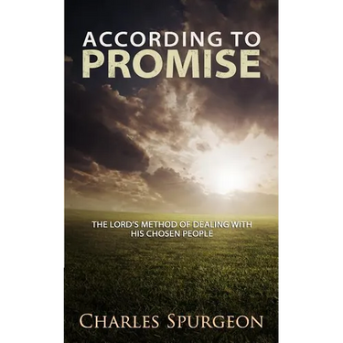According to Promise