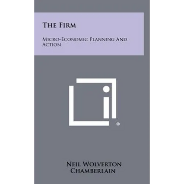 The Firm: Micro-Economic Planning And Action
