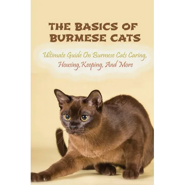 The Basics Of Burmese Cats: Ultimate Guide On Burmese Cats Caring, Housing, Keeping, And More: The Great Benefits Of Owning Burmese Cats