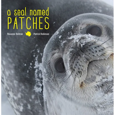 Seal Named Patches