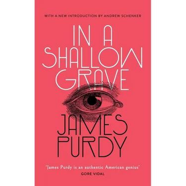 In a Shallow Grave (Valancourt 20th Century Classics)