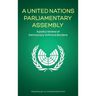 A United Nations Parliamentary Assembly: A policy review of Democracy Without Borders