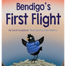 Bendigo's First Flight