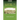 Level 7