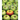 Apples for Everyone