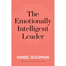 The Emotionally Intelligent Leader