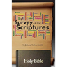 A Survey of the Scriptures