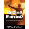 I Got Saved! What's Next?: An Introduction to a Christian Life