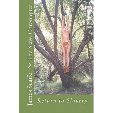 The Slave Chroniques: Return To Slavery