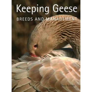 Keeping Geese: Breeds and Management