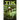 Tik This Is Kenya