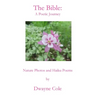 The Bible: A Poetic Journey