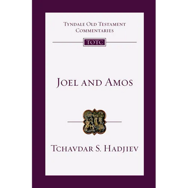 Joel and Amos: An Introduction and Commentary Volume 25