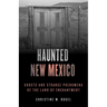 Haunted New Mexico: Ghosts and Strange Phenomena of the Land of Enchantment