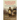 Napoleon and the Struggle for Germany