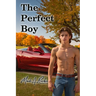 The Perfect Boy