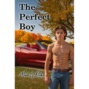The Perfect Boy