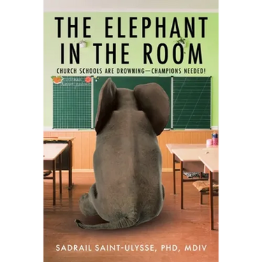 The Elephant in the Room: Church Schools Are Drowning-Champions Needed!