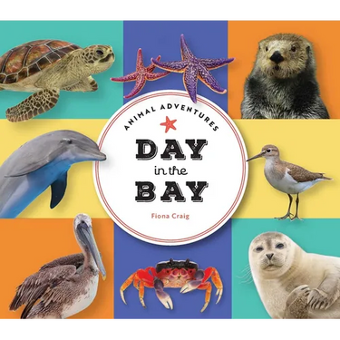 Animal Adventures: Day in the Bay