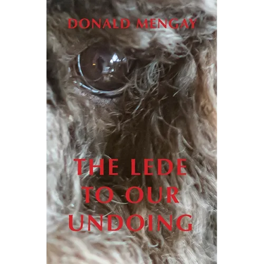 The Lede To Our Undoing