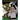 Allies & Adversaries