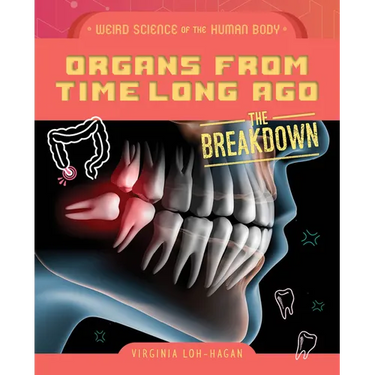 Organs from Time Long Ago