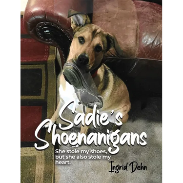 Sadie's Shoenanigans