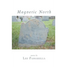 Magnetic North
