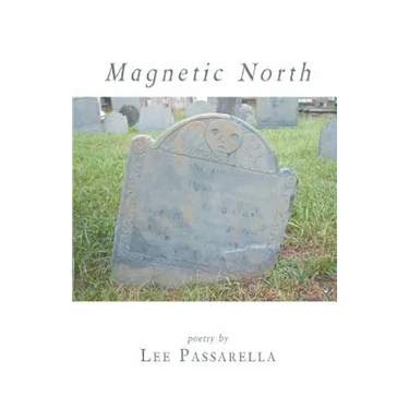 Magnetic North