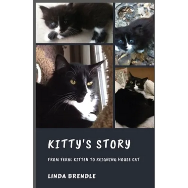 Kitty's Story: From Feral Kitten to Reigning Housecat