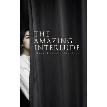 The Amazing Interlude: Spy Mystery Novel