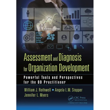 Assessment and Diagnosis for Organization Development: Powerful Tools and Perspectives for the OD Practitioner