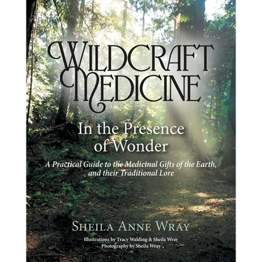Wildcraft Medicine: In the Presence of Wonder