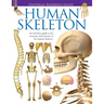 Universal Reference Guide - HUMAN SKELETON