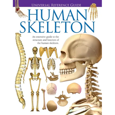 Universal Reference Guide - HUMAN SKELETON