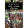 Baba Bulleh Shah: The Pearl of Punjab: Selective kafis of the sufi translated into English