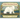 A Bear Far from Home