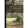 White Columns in Georgia