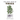 The First Book of Trees