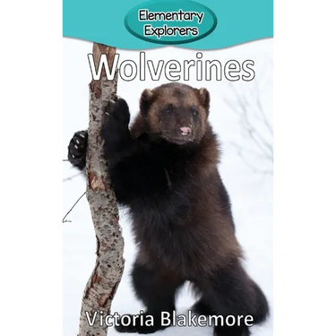 Wolverines