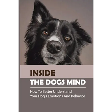 Inside The Dogs Mind: How To Better Understand Your Dog's Emotions And Behavior: What Are Dog Senses