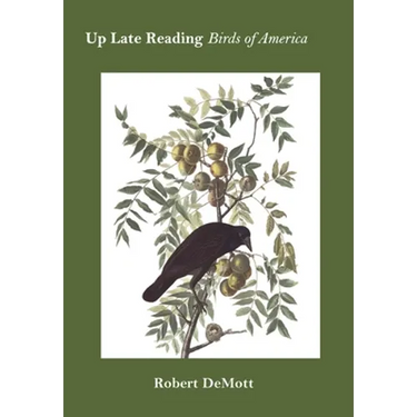 Up Late Reading Birds of America: Prose Poems